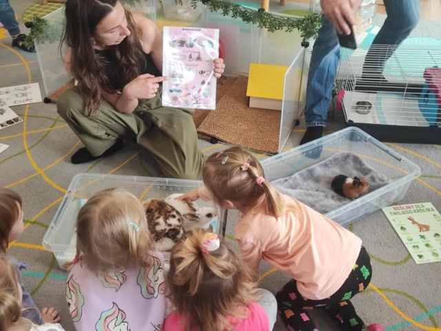 messenger creation da33f251 37ce 4c3d a51e cbe097f84879